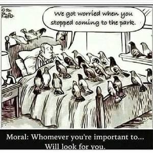 Meet your Posher, Morris